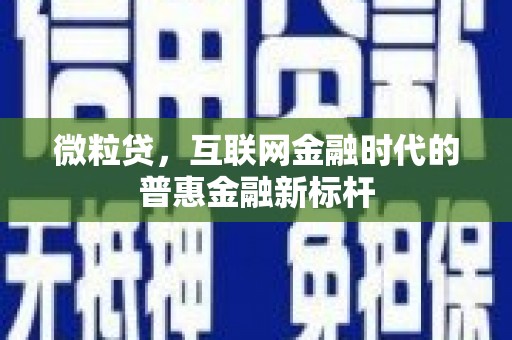 罗山微粒贷，互联网金融时代的普惠金融新标杆