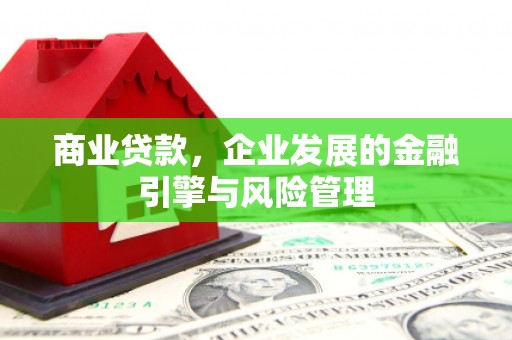 罗山商业贷款，企业发展的金融引擎与风险管理