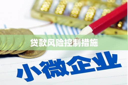 罗山贷款风险控制措施