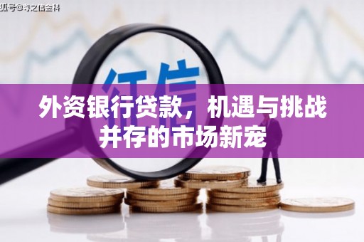 罗山外资银行贷款，机遇与挑战并存的市场新宠