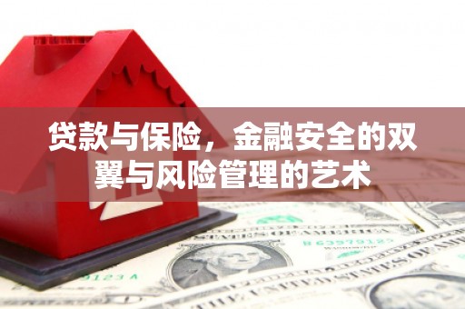 罗山贷款与保险，金融安全的双翼与风险管理的艺术