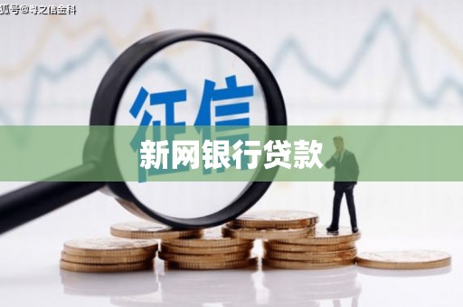 罗山新网银行贷款