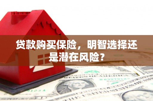 罗山贷款购买保险，明智选择还是潜在风险？