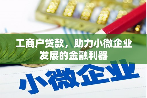 罗山工商户贷款，助力小微企业发展的金融利器