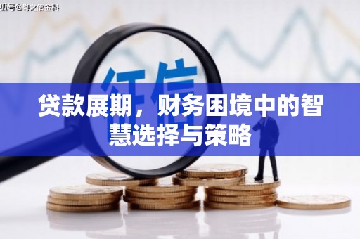 罗山贷款展期，财务困境中的智慧选择与策略