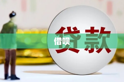 罗山借呗