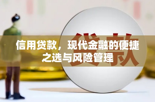 罗山信用贷款，现代金融的便捷之选与风险管理