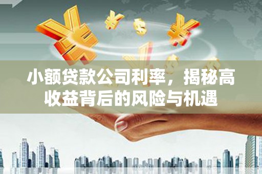 罗山小额贷款公司利率，揭秘高收益背后的风险与机遇