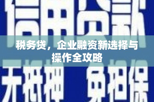 罗山税务贷，企业融资新选择与操作全攻略