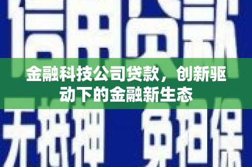 罗山金融科技公司贷款，创新驱动下的金融新生态