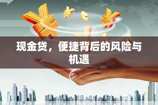 罗山现金贷，便捷背后的风险与机遇