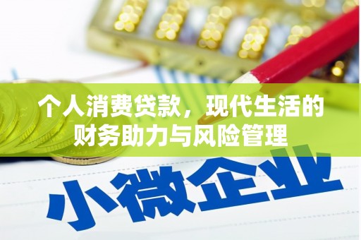 罗山个人消费贷款，现代生活的财务助力与风险管理