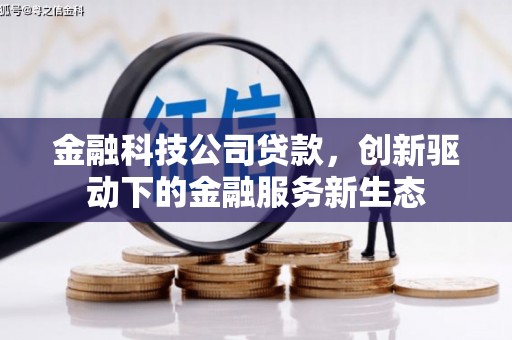 罗山金融科技公司贷款，创新驱动下的金融服务新生态