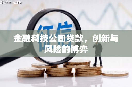 罗山金融科技公司贷款，创新与风险的博弈