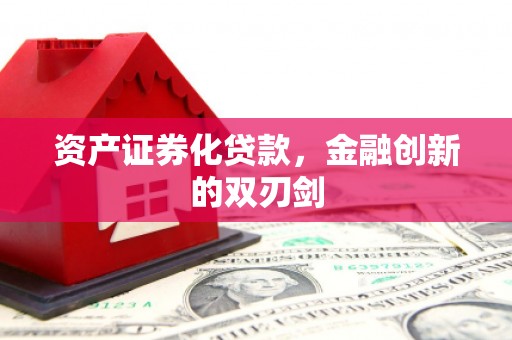 罗山资产证券化贷款，金融创新的双刃剑