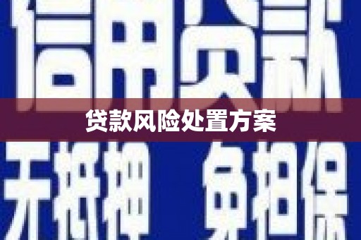 罗山贷款风险处置方案