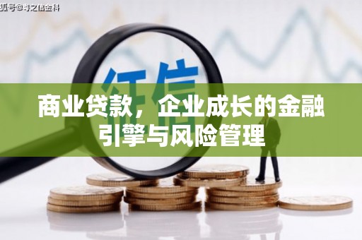 罗山商业贷款，企业成长的金融引擎与风险管理