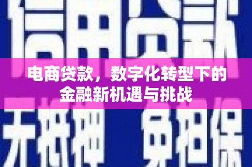 罗山电商贷款，数字化转型下的金融新机遇与挑战