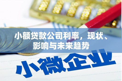 罗山小额贷款公司利率，现状、影响与未来趋势