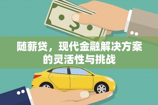 罗山随薪贷，现代金融解决方案的灵活性与挑战