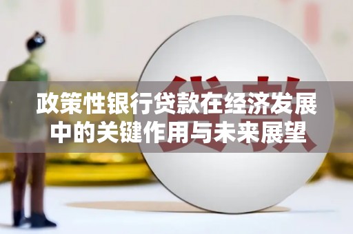 罗山政策性银行贷款在经济发展中的关键作用与未来展望