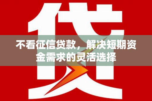 罗山不看征信贷款，解决短期资金需求的灵活选择