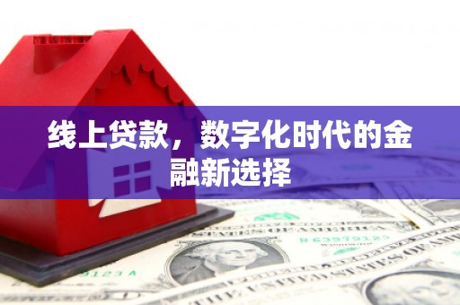 罗山线上贷款，数字化时代的金融新选择