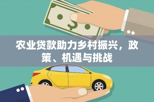 罗山农业贷款助力乡村振兴，政策、机遇与挑战