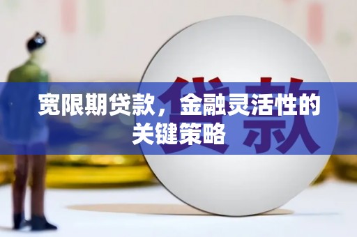 罗山宽限期贷款，金融灵活性的关键策略