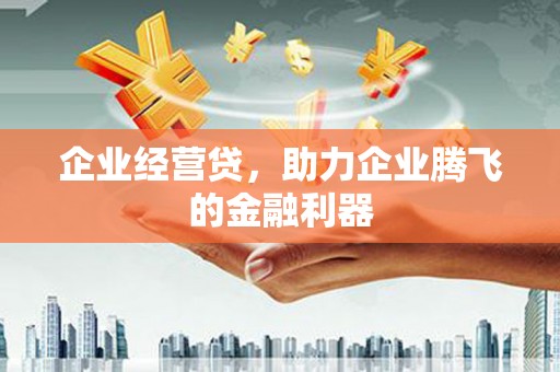 罗山企业经营贷，助力企业腾飞的金融利器