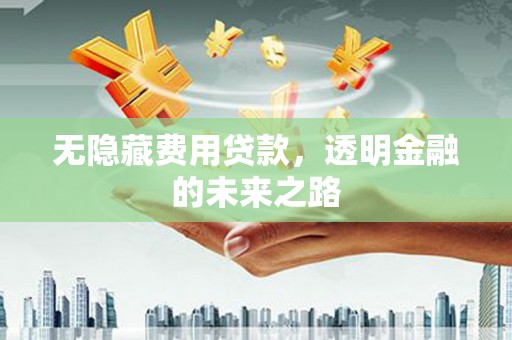 罗山无隐藏费用贷款，透明金融的未来之路