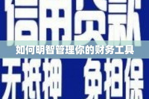 罗山如何明智管理你的财务工具