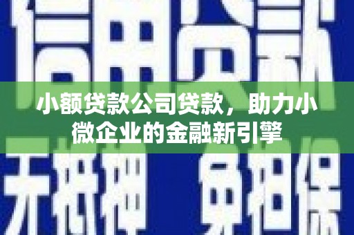 罗山小额贷款公司贷款，助力小微企业的金融新引擎