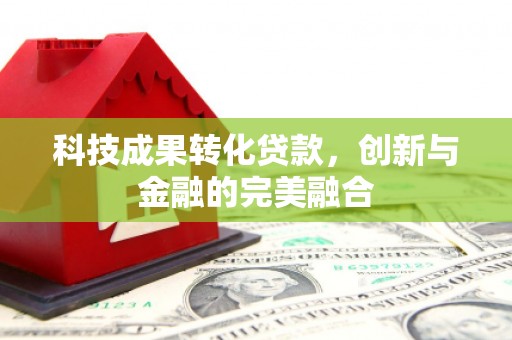 罗山科技成果转化贷款，创新与金融的完美融合