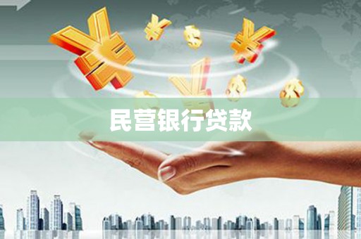 罗山民营银行贷款