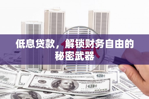 罗山低息贷款，解锁财务自由的秘密武器