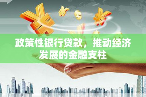 罗山政策性银行贷款，推动经济发展的金融支柱