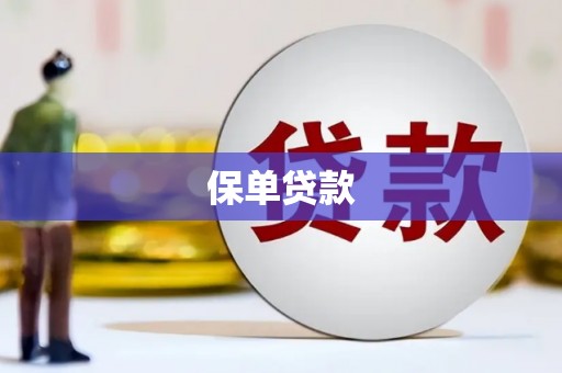 罗山保单贷款