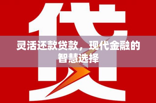 罗山灵活还款贷款，现代金融的智慧选择