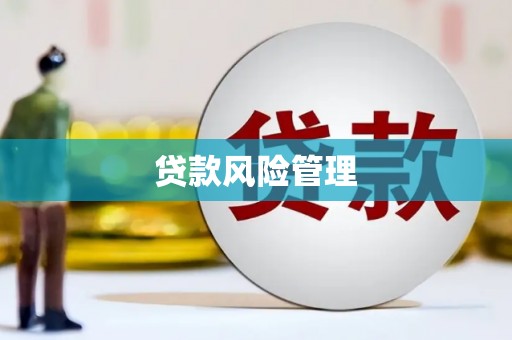 罗山贷款风险管理
