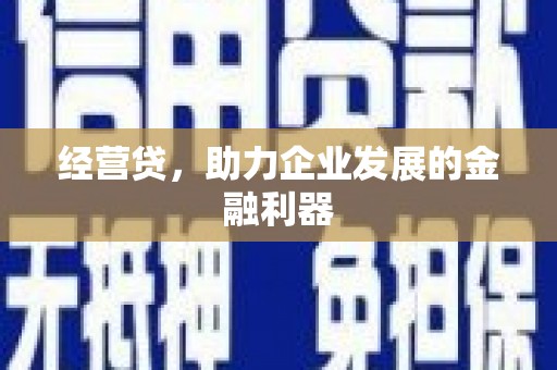 罗山经营贷，助力企业发展的金融利器
