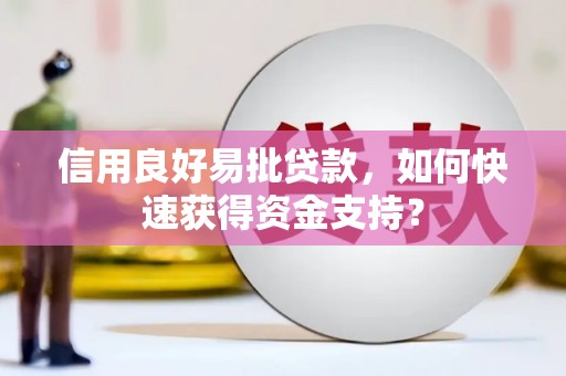 罗山信用良好易批贷款，如何快速获得资金支持？