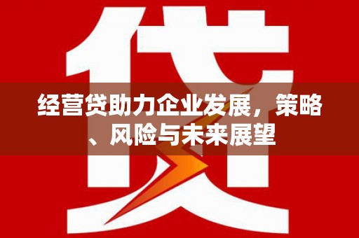 罗山经营贷助力企业发展，策略、风险与未来展望