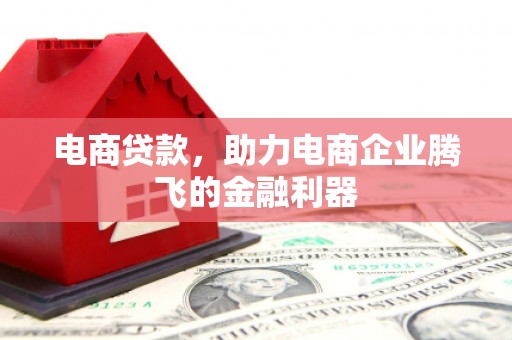 罗山电商贷款，助力电商企业腾飞的金融利器