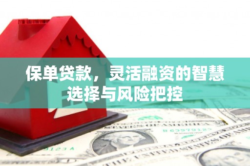 罗山保单贷款，灵活融资的智慧选择与风险把控