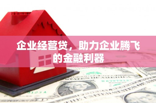 罗山企业经营贷，助力企业腾飞的金融利器