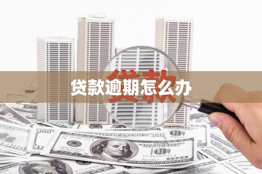罗山贷款逾期怎么办