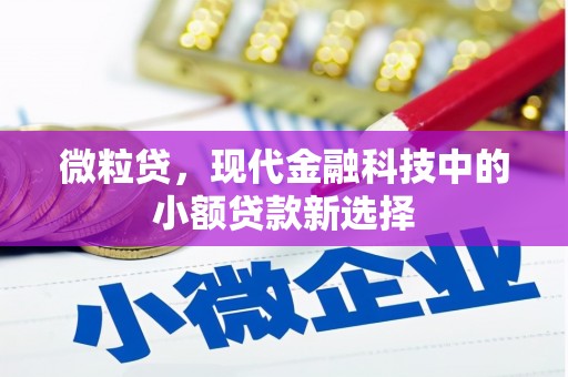 罗山微粒贷，现代金融科技中的小额贷款新选择