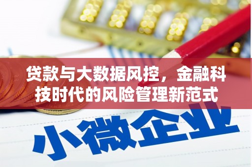 罗山贷款与大数据风控，金融科技时代的风险管理新范式