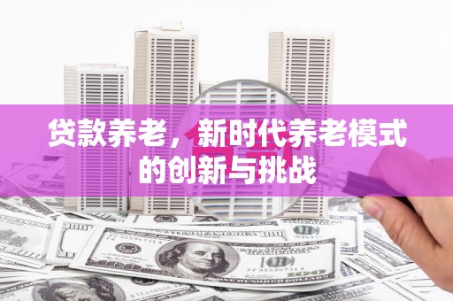罗山贷款养老，新时代养老模式的创新与挑战